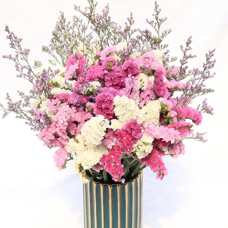 

Plant Accessories Decoration Fleurs Sechees Bouquet Window Ornaments Photography Props Christmas Birthday Mothers Day Gifts