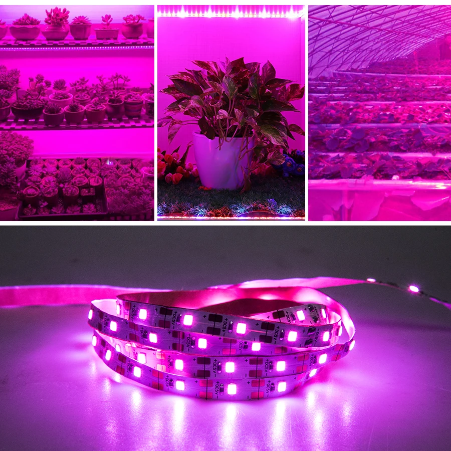 

Full Spectrum LED Grow Light USB LED Strip 0.5m 1m 1.5m 2m 3m 2835 SMD LED Phyto Lamp for Greenhouse Hydroponic Plant Growing