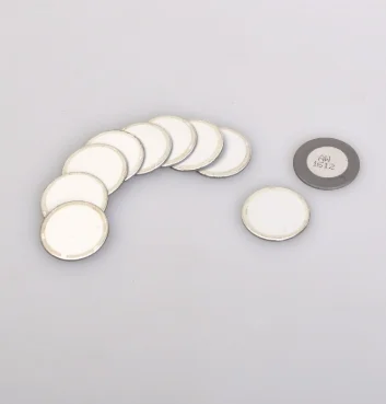 10pc atomizer chips DC 48V 4/6/8/10/12 Head Ultrasonic Mist Maker Fogger Stainless Steel Air Humidifier Greenhouse Aeromist Hydroponics High Quality - Color: 10pc atomizer chips