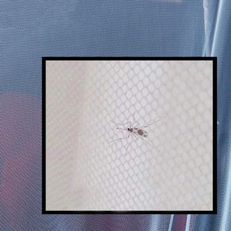 Новинка Детские Прорезыватели куклы игрушки маленькая обезьянка неваляшки