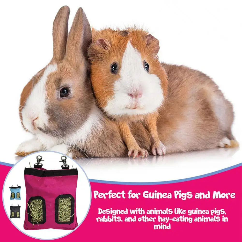 Маленькие животные кролик трава мешок сено кошка маленькие миска маленькая