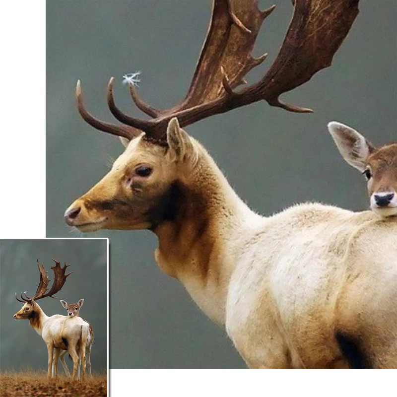 Современное искусство живопись Золотой олень декоративные настенные картины