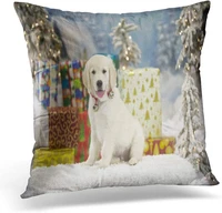 emvency throw pillow cover christmas yellow labrador puppy sits in the snow front decorative pillow case home decor square