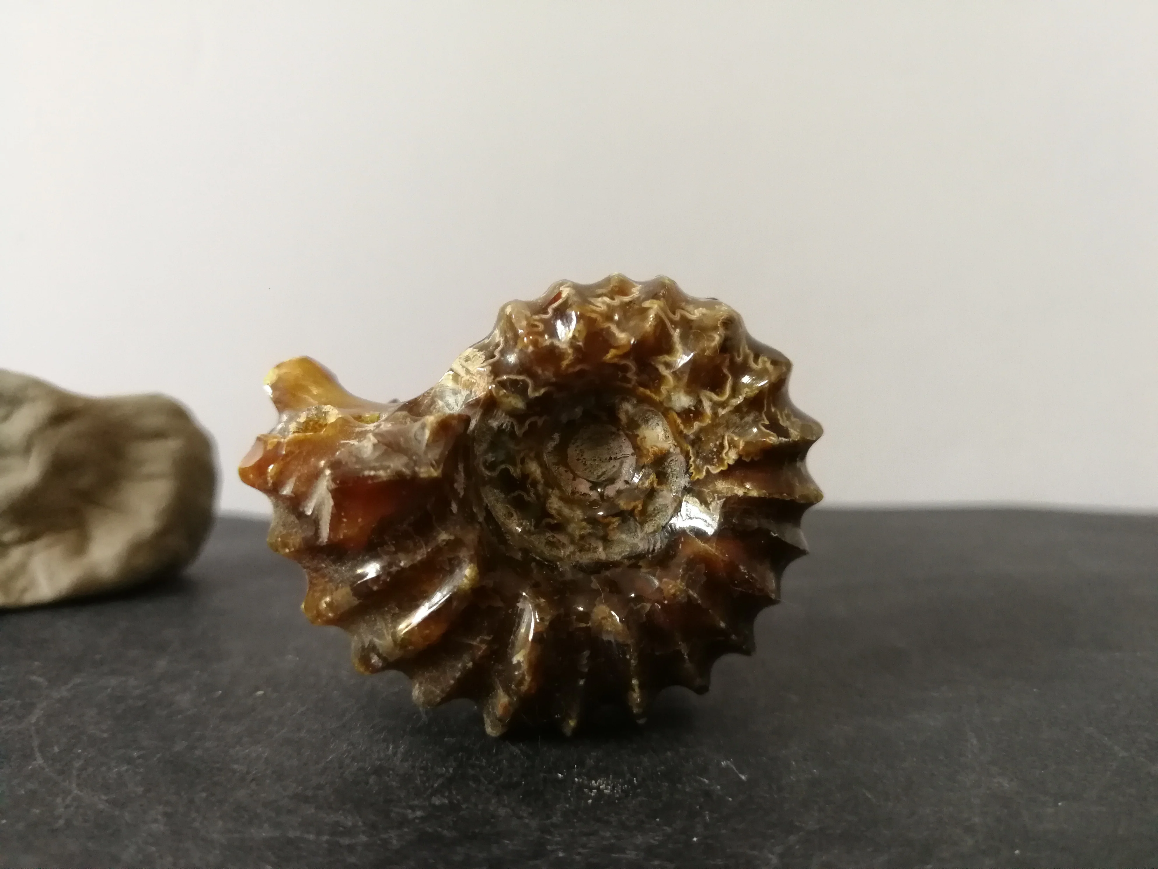 

44.5gNatural ammonite, crystal, quartz specimen energy healing