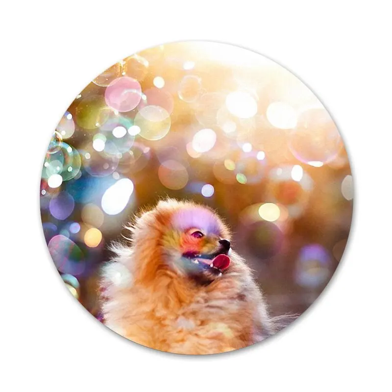 Значки для щенков померанского шпильки значки металлические детской модели 58