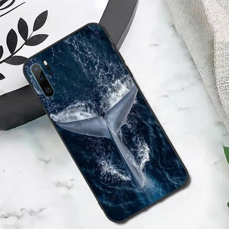 

Marine life animal Killer Whale Orca Phone Case For Huawei honor Mate P 10 20 30 40 i 9 8 pro x Lite smart 2019 nova 5t