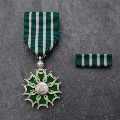 

Медаль ордена искусств и литературы Франции