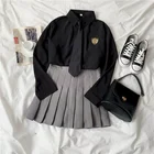 Костюмы в стиле преппи, весна-осень, рубашка-двойка, нишевая рубашка с длинным рукавом + комплект с плиссированной юбкой с завышенной талией + свободный галстук