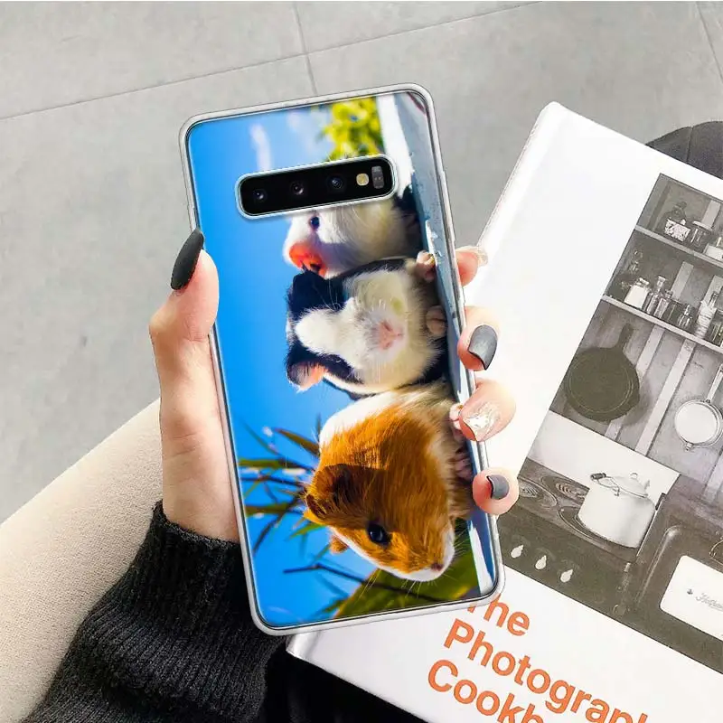 

Guinea Pig Cute Animal Pet Blue Case for Samsung Galaxy S20 Ultra Note 10 9 8 S10E S9 S8 J4 J6 J8 Plus + Pro S7 S6 Soft Phone Co