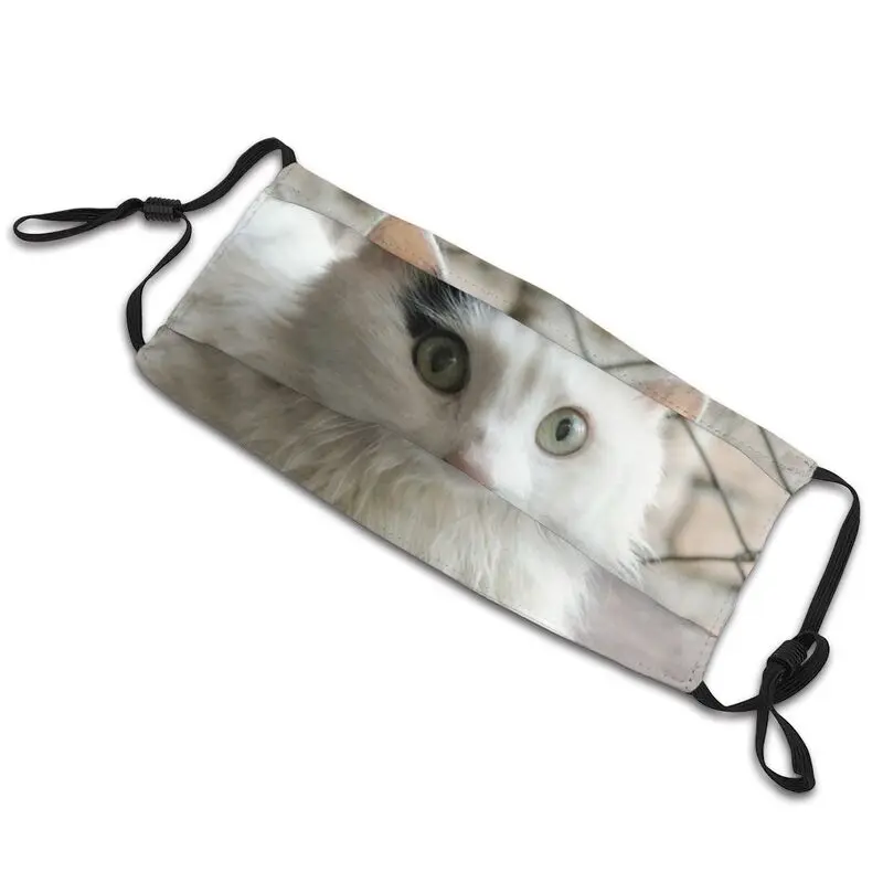 The Turkish Van Mask Anti Dust Non-Disposable Puppy Angora Cat Face Protection Cover Unisex Adult Respirator Mouth Muffle | Аксессуары