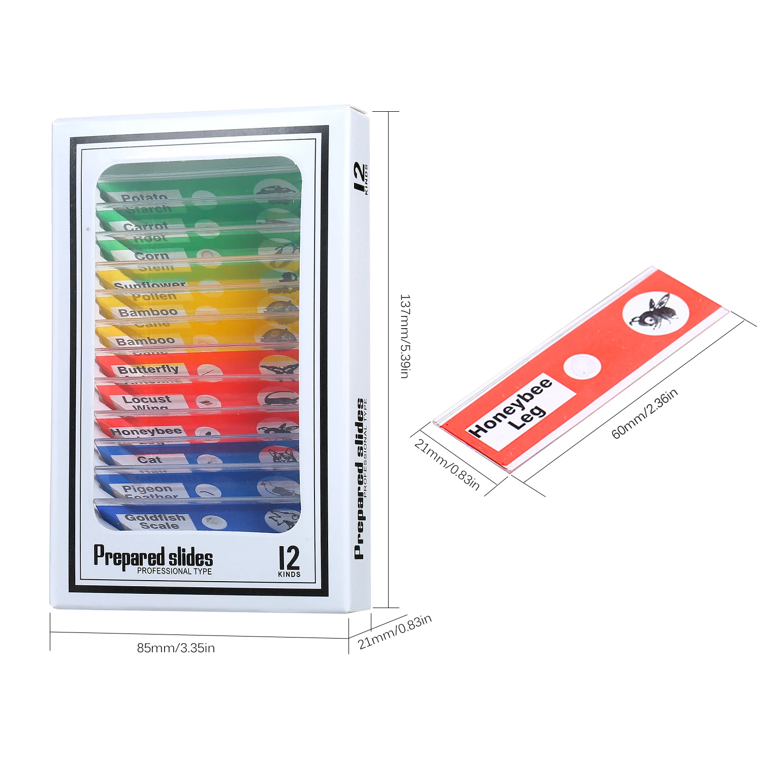 12 шт. слайды подготовленные для микроскопа образец животных насекомые растения