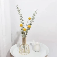 1set plume vase arrangement bunny tail pampas grass luxury golden vase make up table decoration