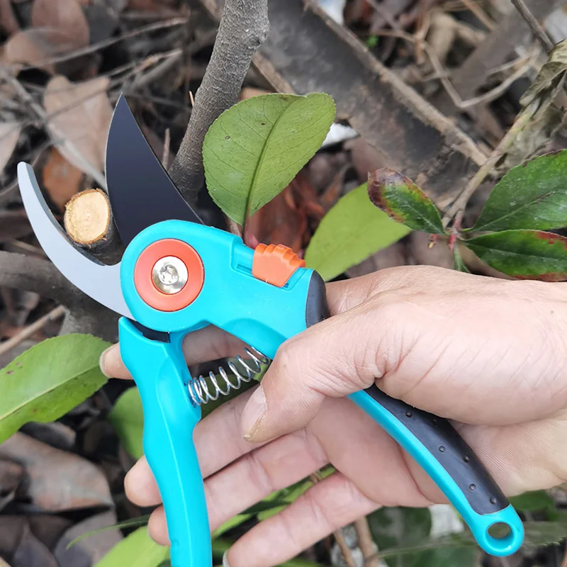 

Ножницы для обрезки, прививочный инструмент, садовые ножницы, садовые ножницы, секаторы, ножницы для резки фруктовых деревьев, инструмент д...