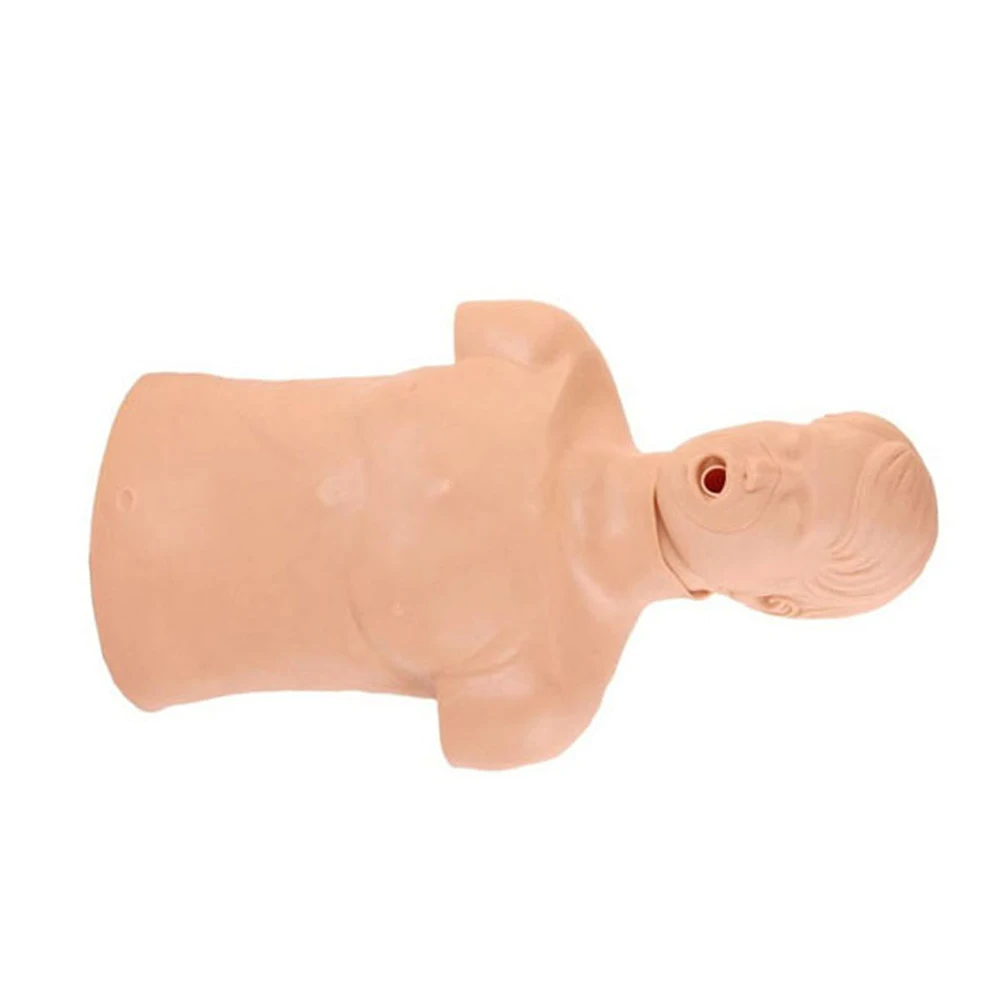 Cardiopulmonary Resuscitation Training and Adult Heimlich First Aid Operation Model | Канцтовары для офиса и дома