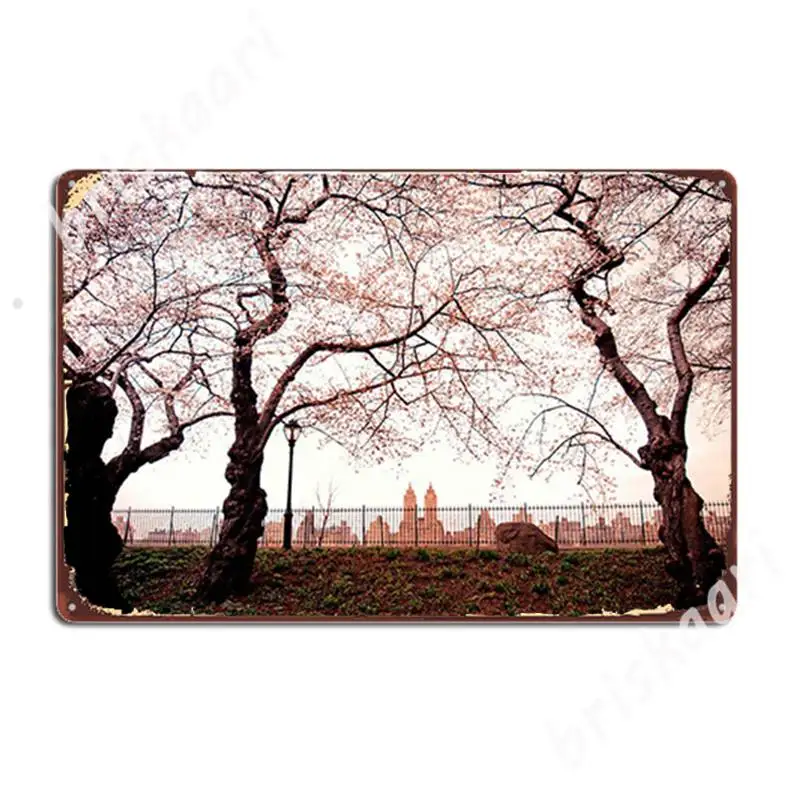 

Cherry Blossoms - Central Park Reservoir - New York City Metal Signs Club Funny Club Bar Wall Decor Tin sign Posters