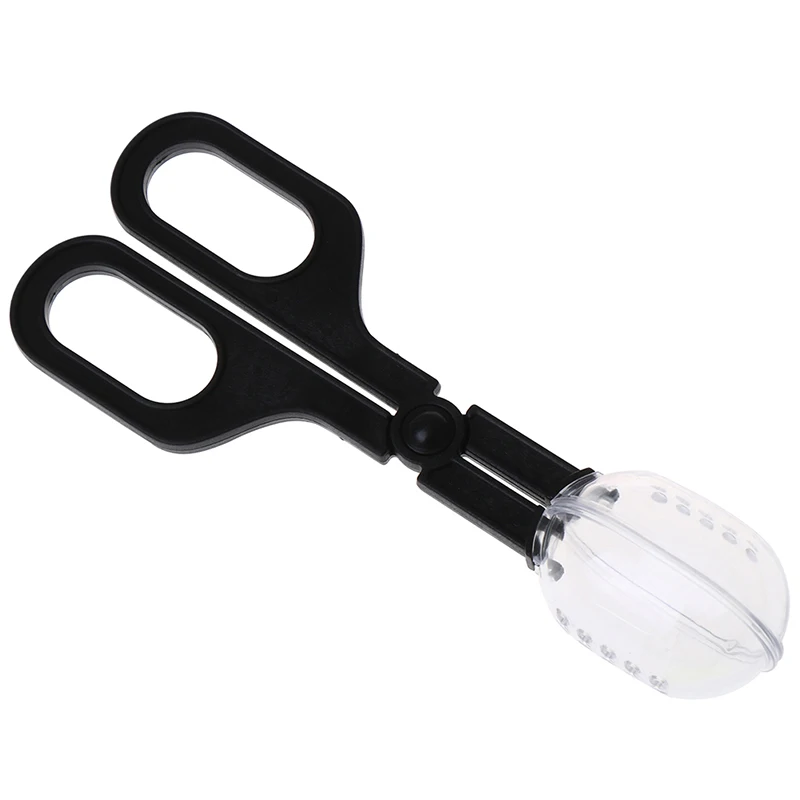 

Reptile Supplies Climbing Pet Clips Feeding Reptiles Insect Breeding Worm Clips