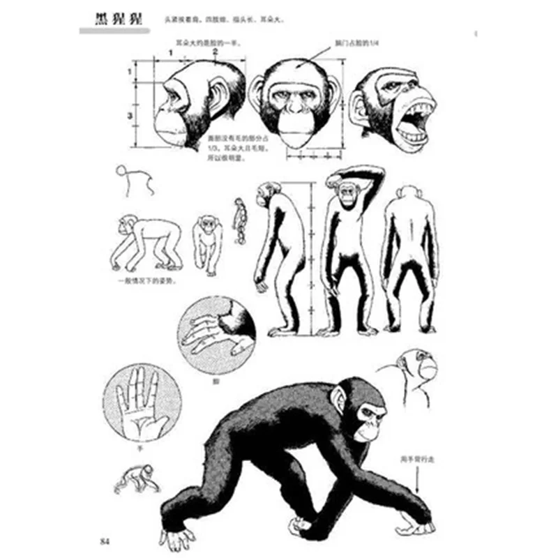 Zero basics Рисование комиксов эскиз техника аниме ручная роспись книга запись