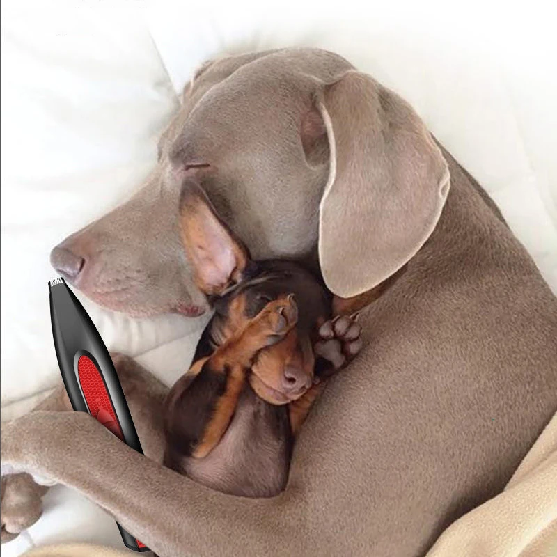 

Pet Dog Hair Clipper Dogs Foot Hairs Trimmer Grooming Electrical Hair Clipper for Dog Shaver Pet Foot Hair Clippers for Animals