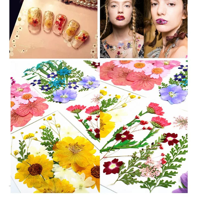 

1х мешок прессованные цветы Смола Заполнения ювелирные изделия, декоративная природная сухих цветов микс сушеных Цветы DIY Искусство Цветоч...