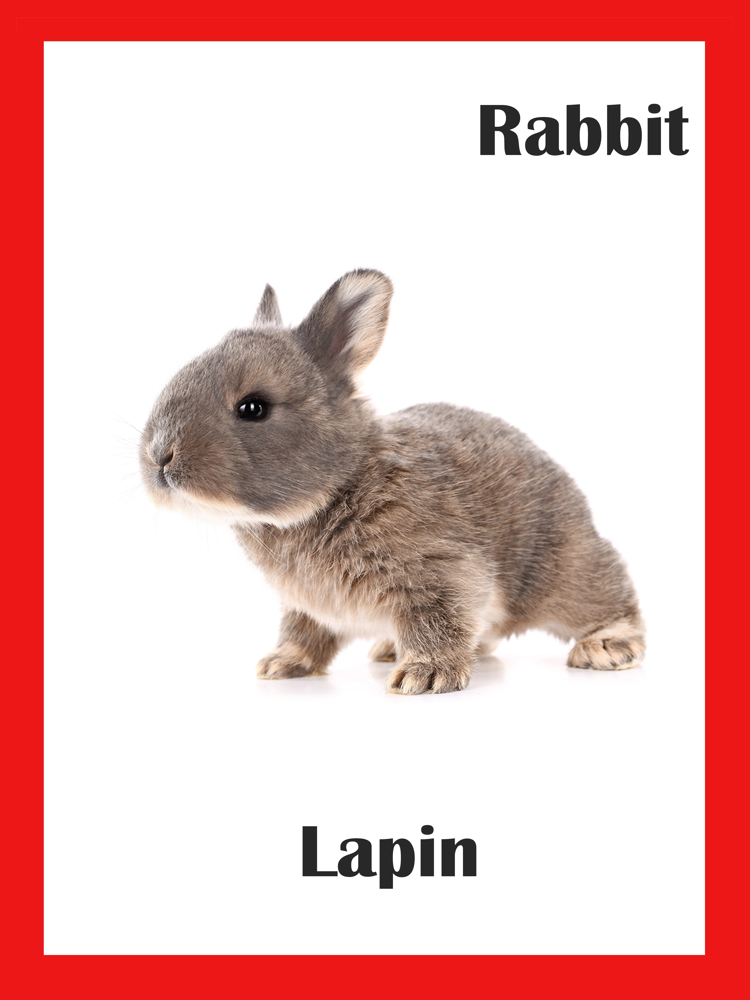 85 шт. детские развивающие карты Монтессори с французскими