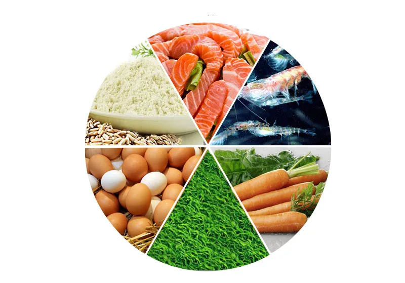 Маленькая еда для рыбы мини-бит базовая маленькая мини-фонарик мелких частиц |