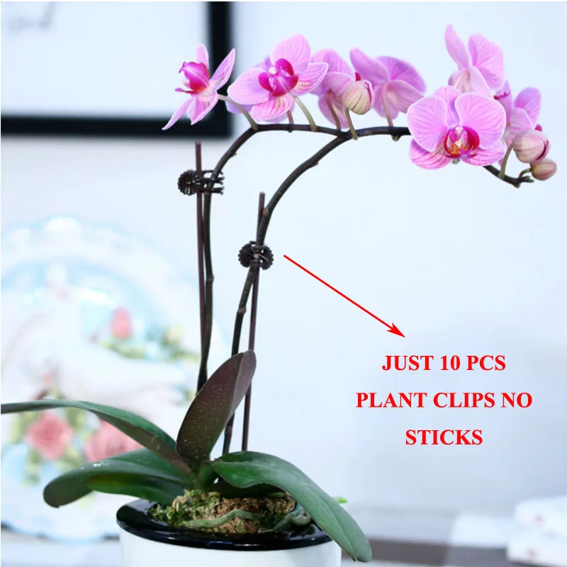 20pcs Plant Support Clips Garden Clips Flower Orchid Stem Clips for Vine Support Farm Flowers TomatoTied Bundle Branch Clamping