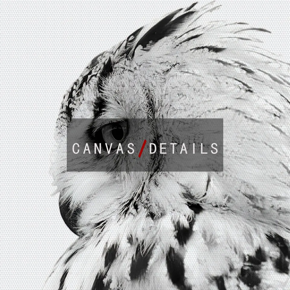 Скандинавский плакат Сова солнечное дерево холст живопись черный белый пейзаж