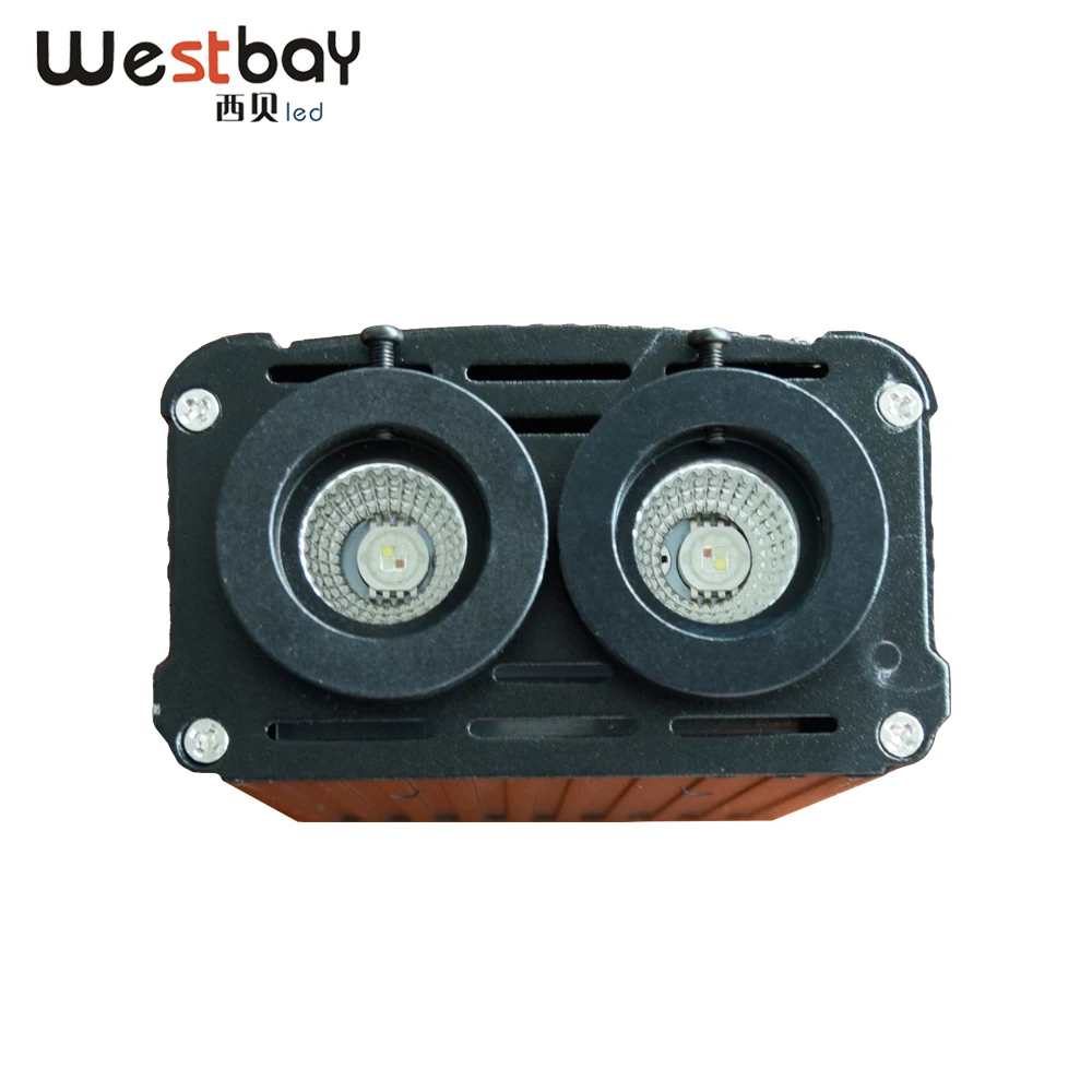 Новинка 2019 32 Вт RGBW светодиодный волоконный светильник Opitc комплект для двигателя