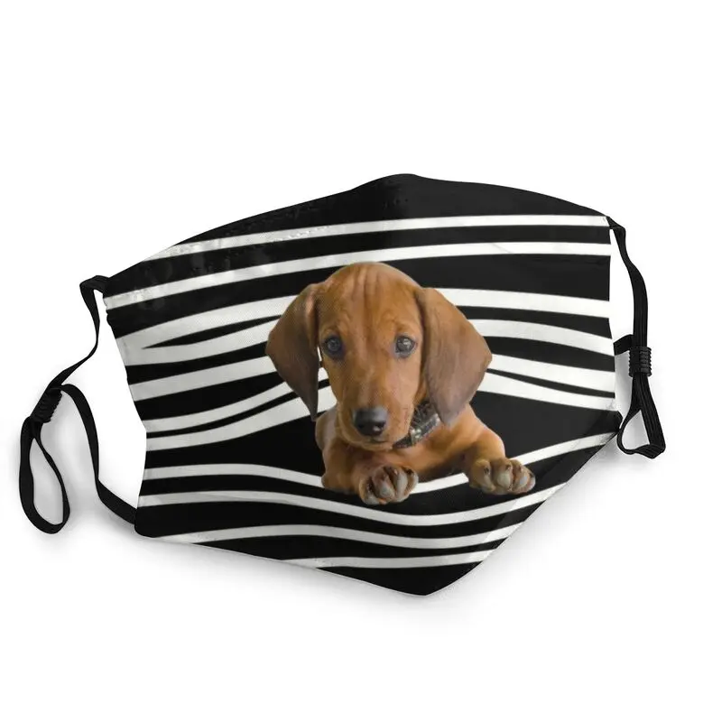 

Такса полоски рот уход за кожей лица маска для взрослых многоразовые Вайнер собака маска Для мужчин против дымки пыли защитный респиратор м...