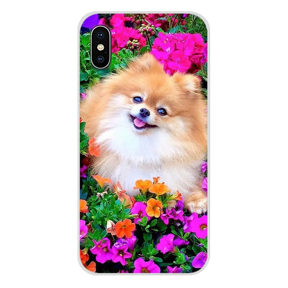 images 6 Pomeranian dogs для Apple IPhone X XR XS MAX 4 4s 5 5S 5C SE 6 6S 7 8 Plus ipod touch 5 6 Аксессуары чехлы для телефонов - Цвет: images 6