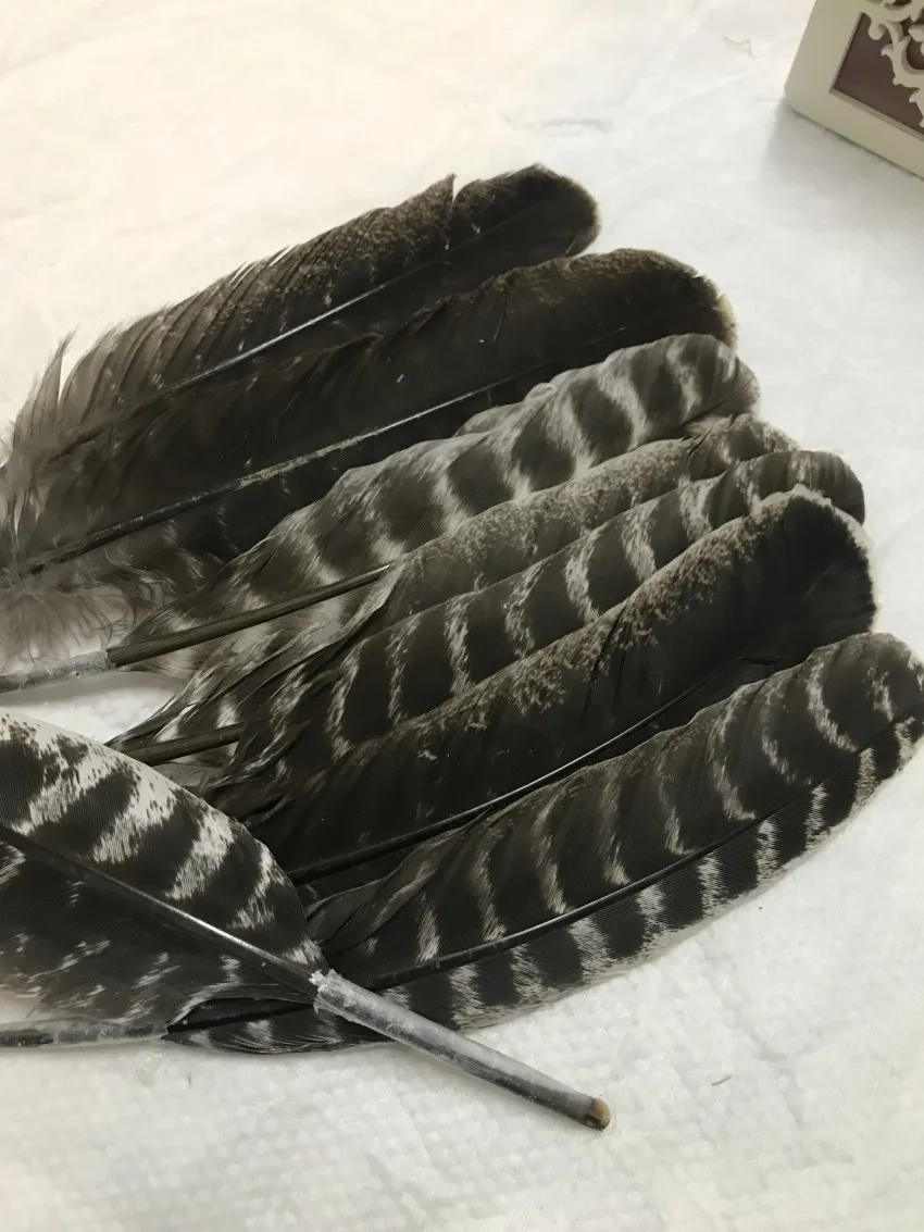 Оптовая продажа Бесплатная доставка Натуральное перо индейки 25 30 см редкое дикое