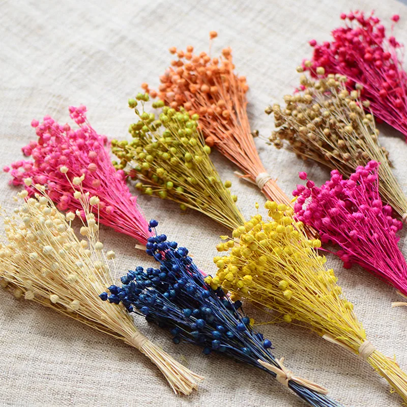 

1 Bouque Plant Rich Beans Eternal Dried Jequirity DIY Preserved Flowers Material Home Wedding Christmas Decor Shooting Props