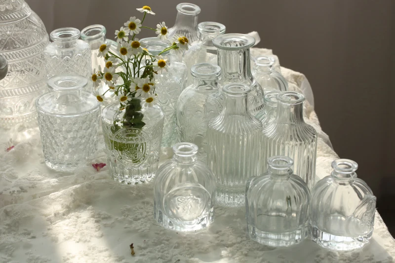 

Nordic Ins Simple European and American Style-Style Pastoral Transparent Windshield Washer Fluid Cultivation Dried Fresh Bouquet