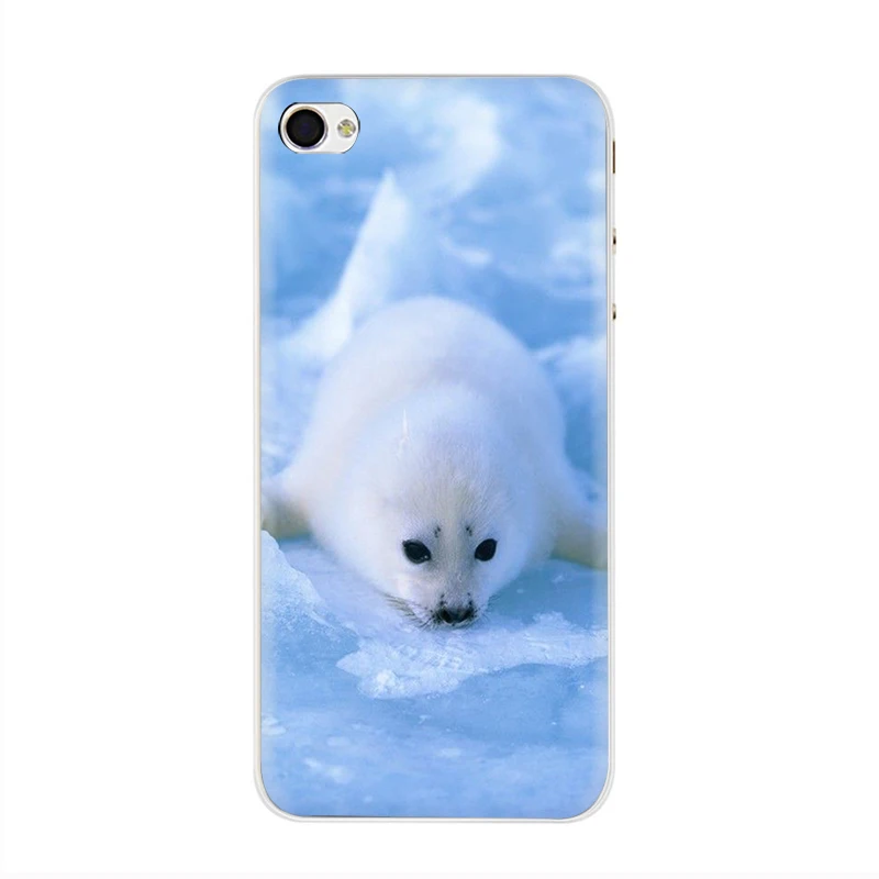 Жесткий чехол для телефона EWAU Baby harp Seal Sea Lion чехол для iPhone 5 5S SE 5C 6 6s Plus 7 8 Plus X XR XS 11 Pro MAX