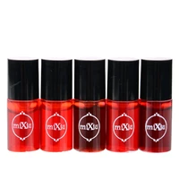 multifunctionl women waterproof lip gloss tint dyeing liquid lipgloss blusher long lasting lip makeup accessories