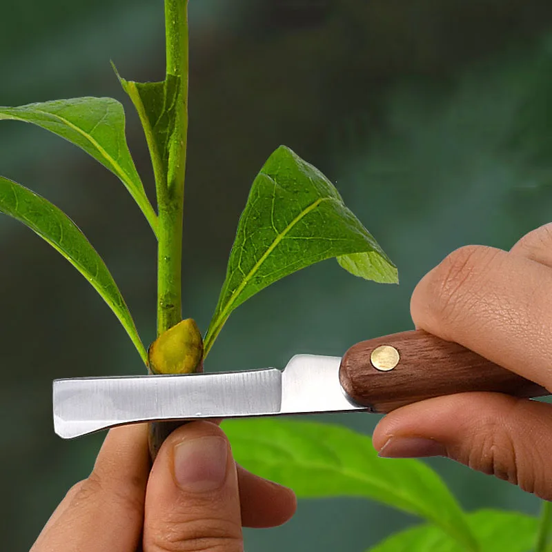 

Gardening Pruning Tools Bonsai Grafting Pruning Hand Cutting Garden Tools Foldable Grafting Cutter Pruning Seedling Tree Scissor