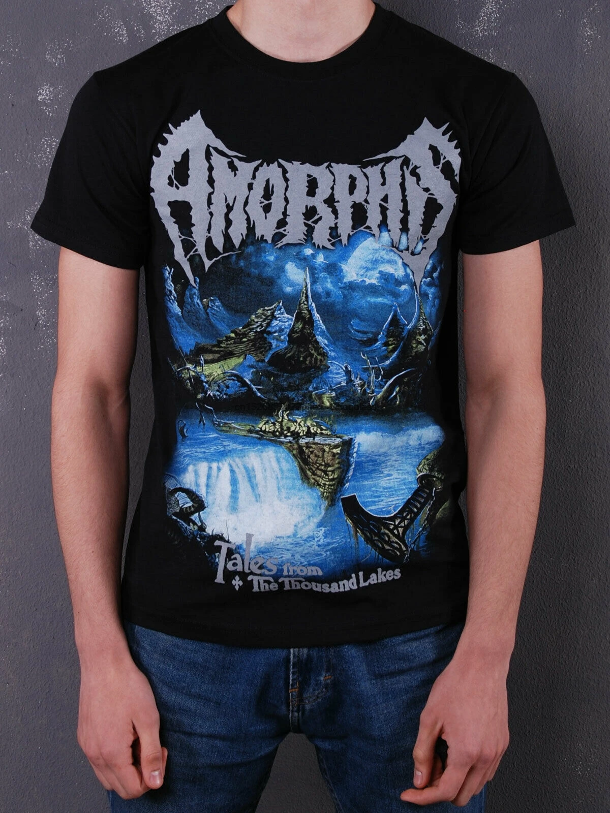 Аморфы Сказки из тысяч озер Ласточка солнце темное спокойствие Однотонная