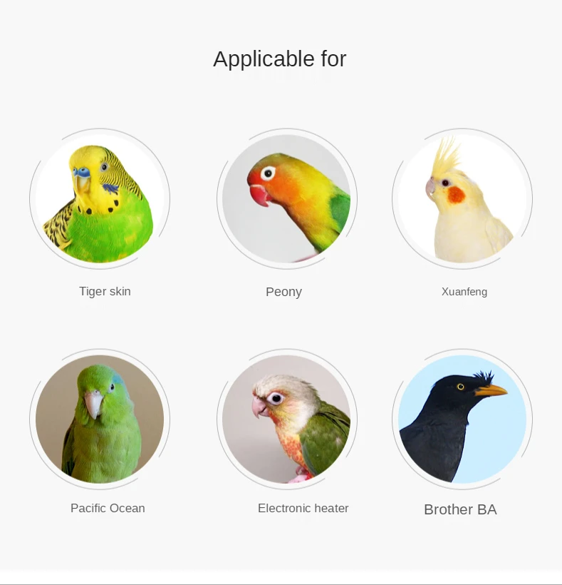 Набор забавных игрушек для птиц клетки аксессуары скейтборда товары домашних