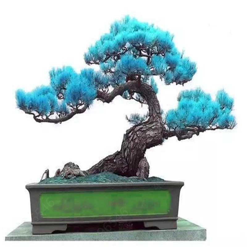Аквариум Рок орнамент в стиле бонсай аквариум для рыб скалы искусственные