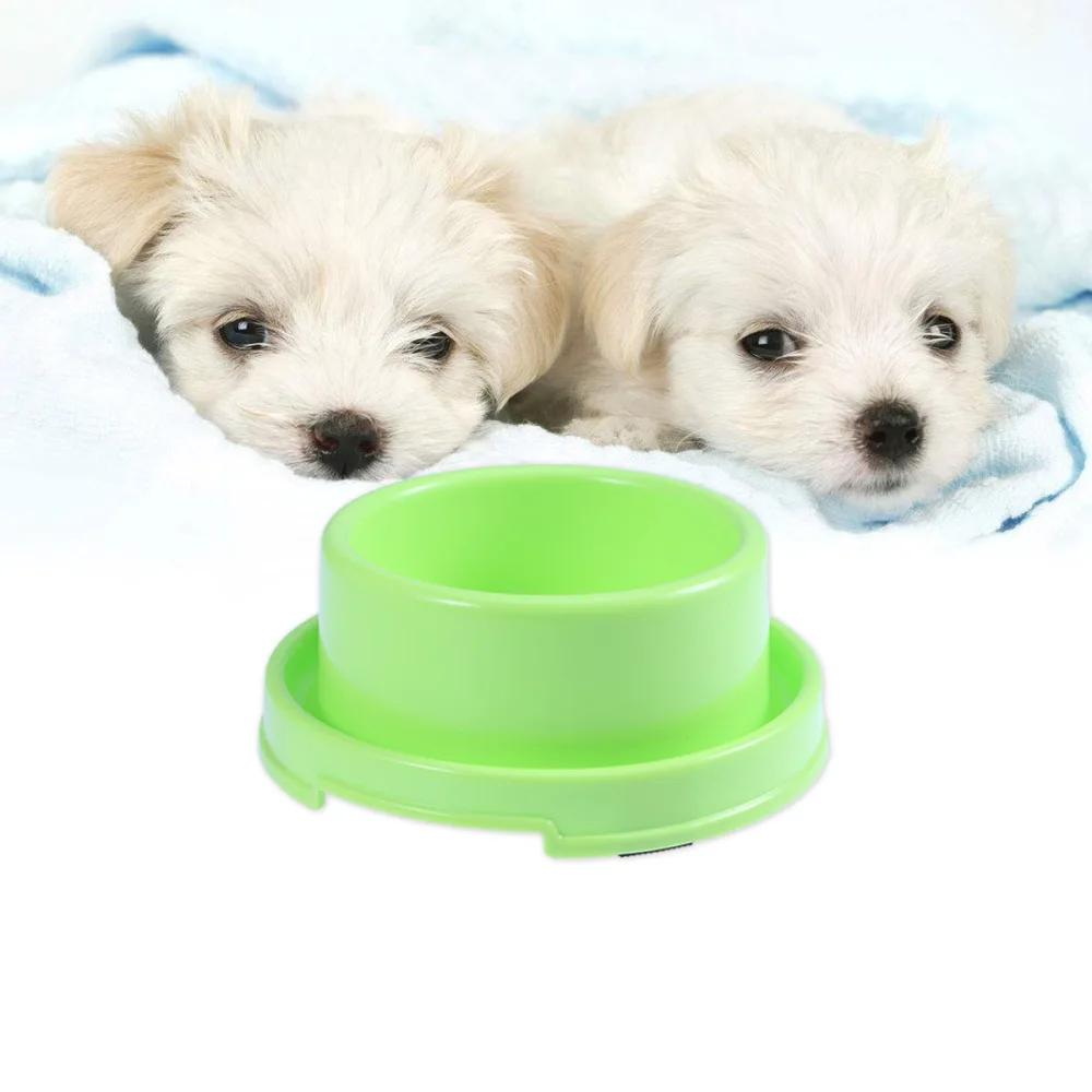 

Circle Pet Food Bowls Anti-ant Dog Feeding Dishs For Puppy and Cat (Green)