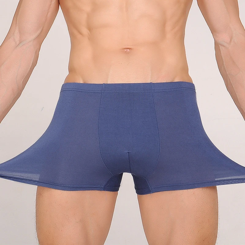 5 шт./лот мужские бамбуковые трусы высокого качества Мужское нижнее белье