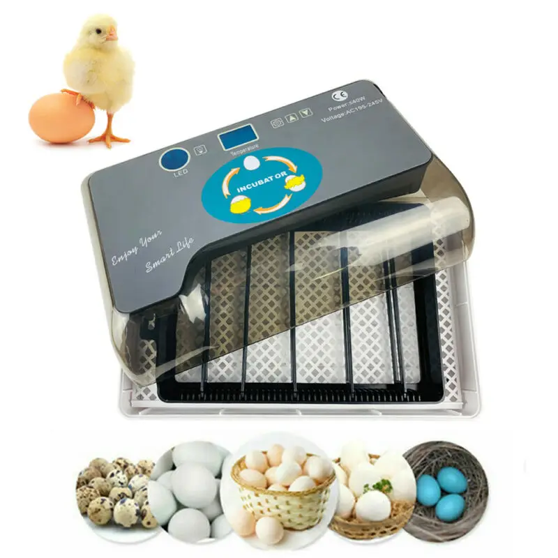Newest Farm Hatchery Incubator Brooder Machine 4-35 Egg Hatchers Cheap Price Chicken Automatic Eggs Bird Quail |