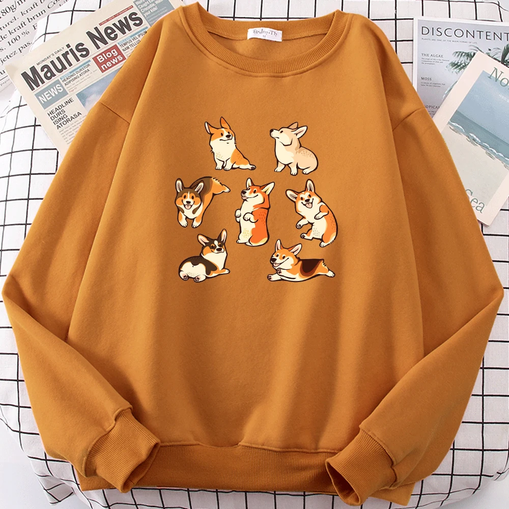 

Мужская Флисовая Толстовка с капюшоном, с принтом Сиба-ину