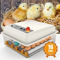 220v egg incubator brooder bird incubators hatchers chickens poultry hatcher farm automatic hatchery incubation tools 16 eggs eu