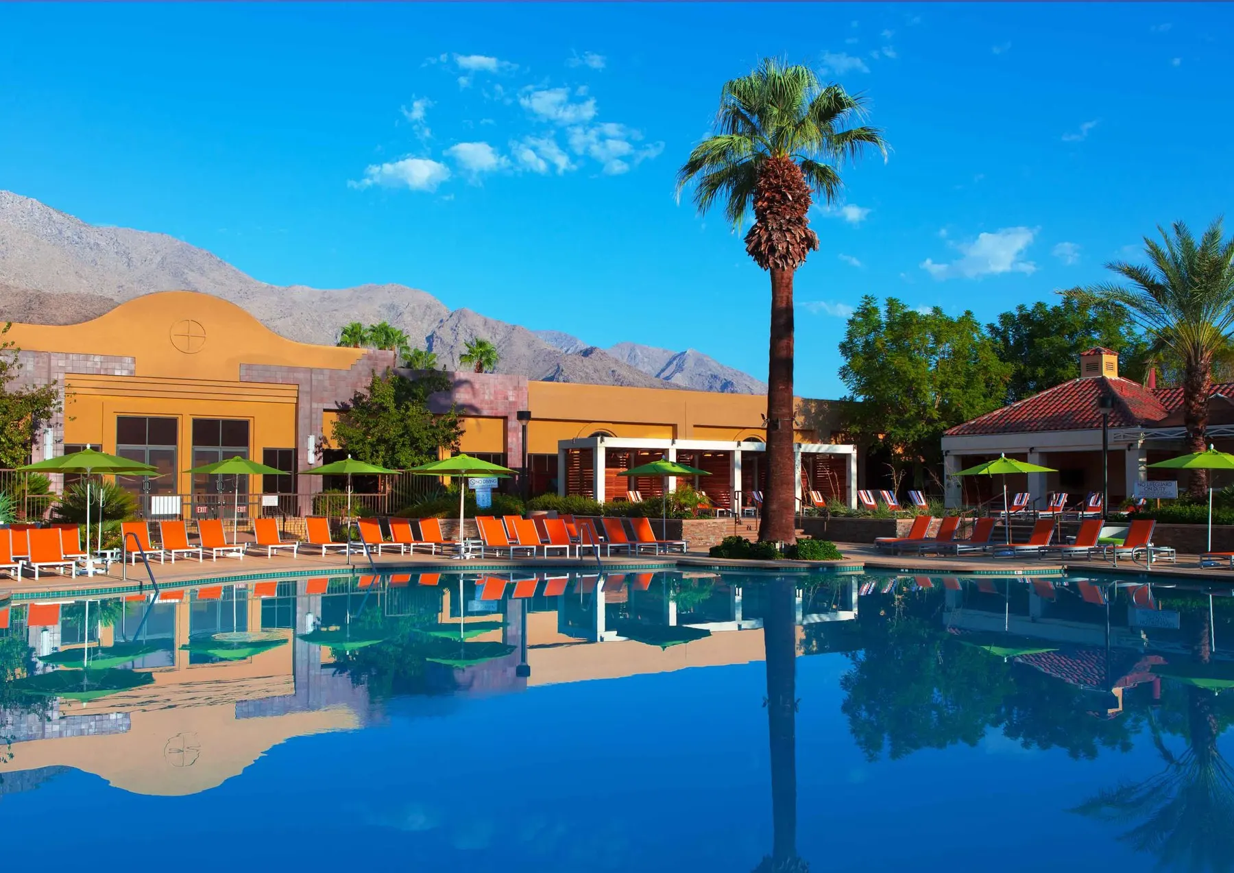 

Печать шелковых постеров 24x36 дюймов с изображением пальмовых пружин