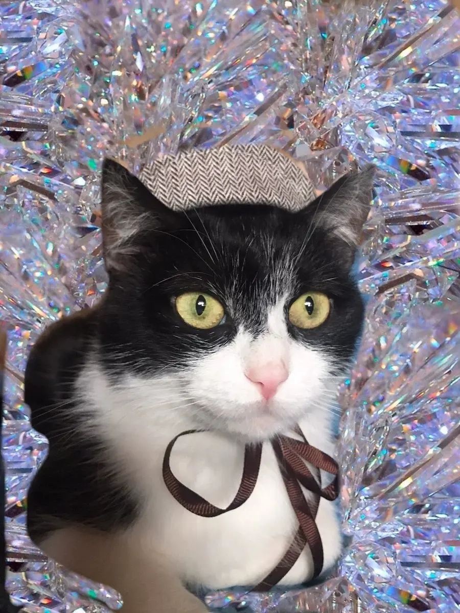 Детектива Пикачу косплей домашних животных костюмы кошка собака шапка для