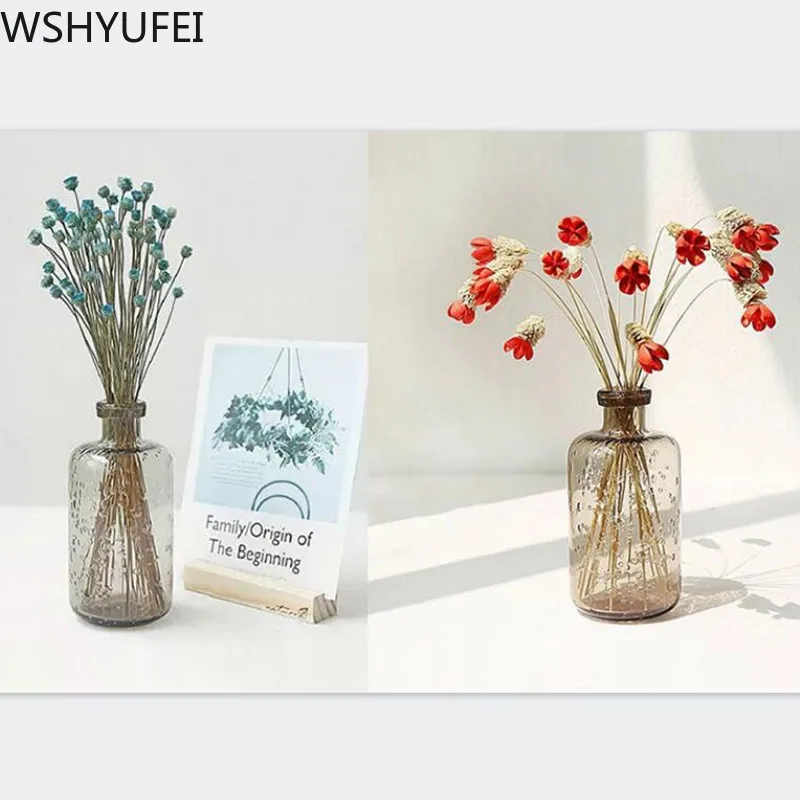 Новый стиль светильник роскошная стеклянная ваза гидропонное растение гостиная