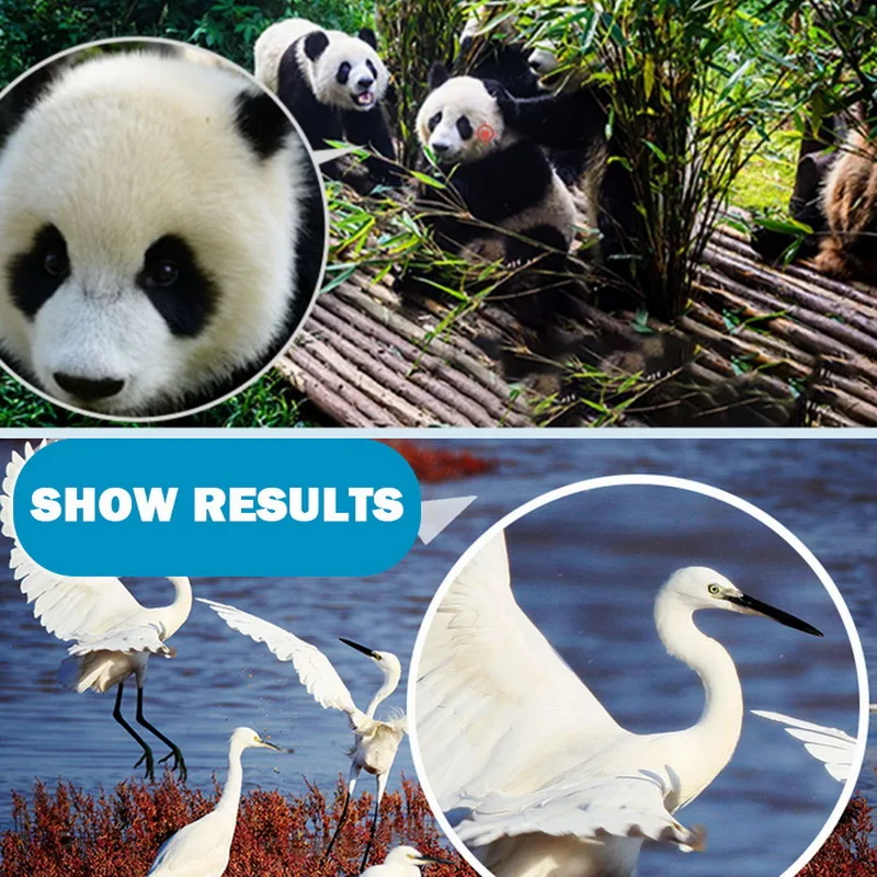 4x30 Пластиковый Детский бинокль телескоп Maginification для детей улицы выступлений в