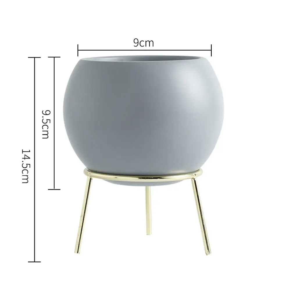 Белый керамический Средний суккулент кактус цветочное растение шестигранные