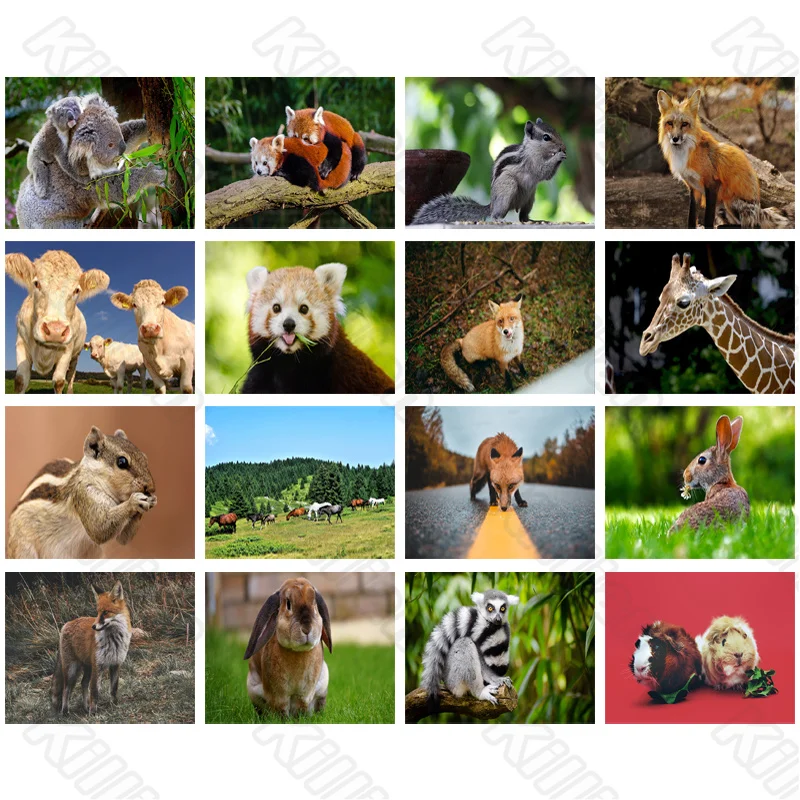 

Алмазная живопись «сделай сам», картина с рисунком животных, енота и белка, квадратные алмазы, круглые алмазы, настраиваемое настенное укра...